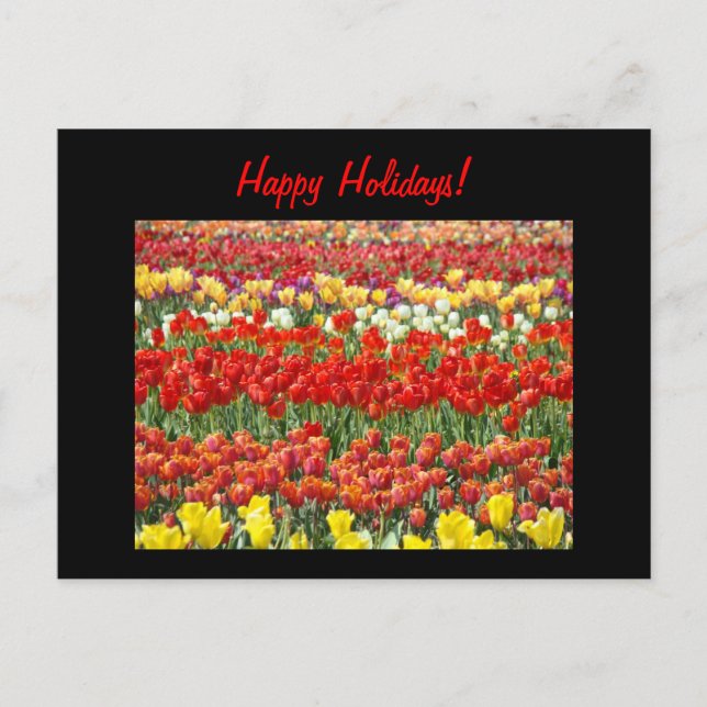 ¡Felices Fiestas! tarjetas postales Flores Tulipán (Anverso)