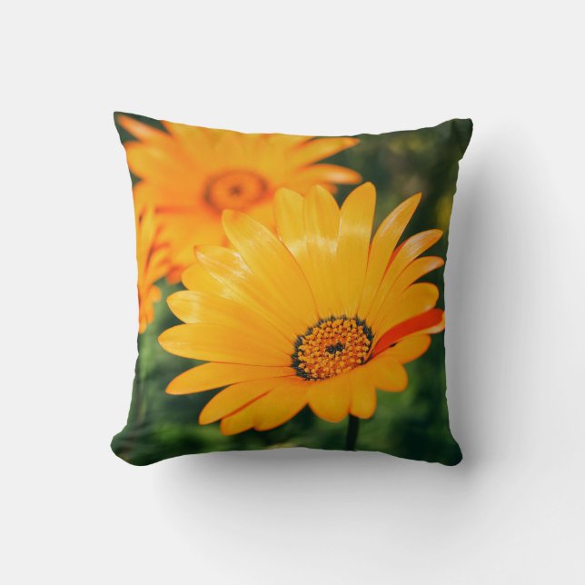 Felices Flores de Margarita Naranja Almohada Cojín (Anverso)