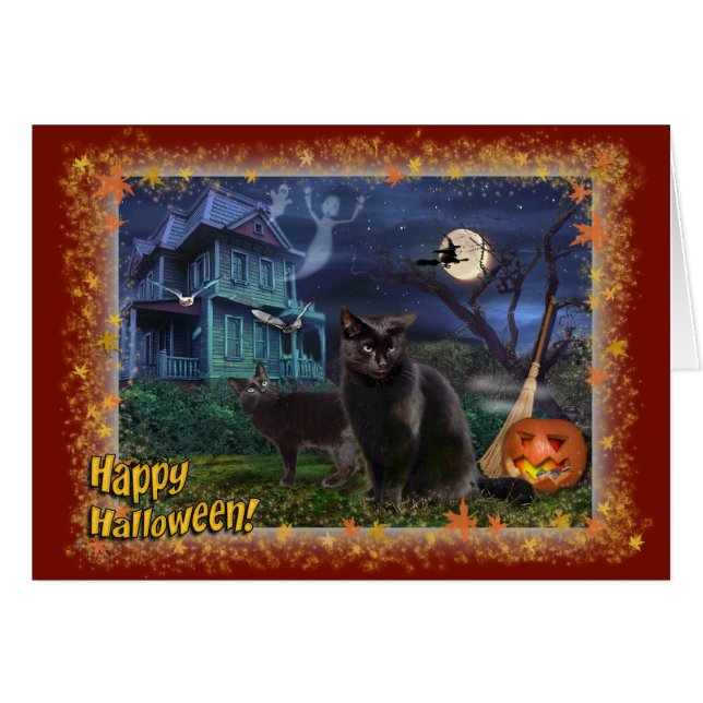Felices gatos de Halloween (Anverso (Horizontal))