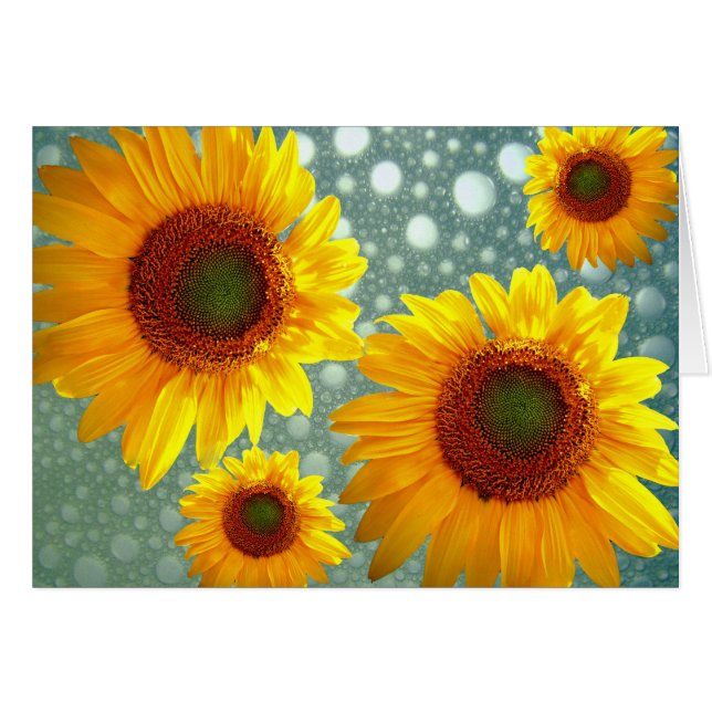 Felices girasoles (Anverso (Horizontal))