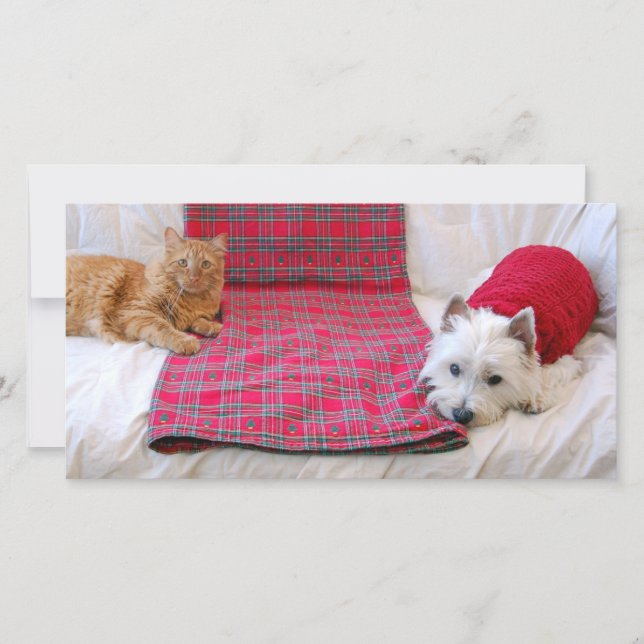 Felices Navidad (Anverso)