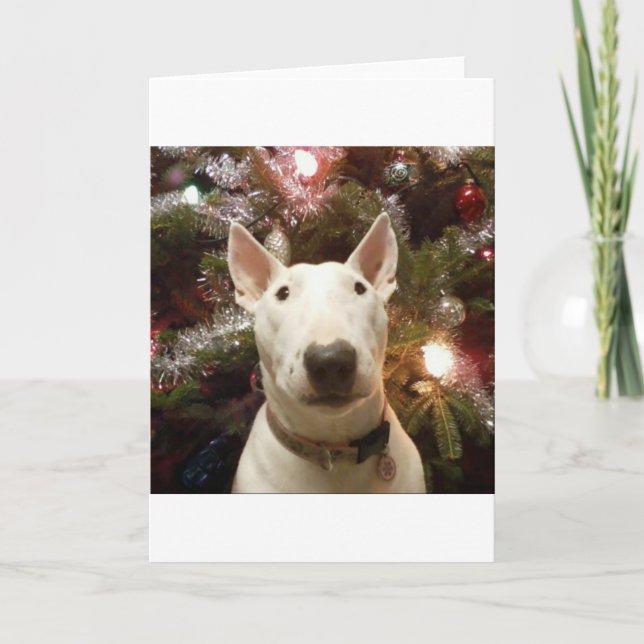 Felices Navidad (Anverso)