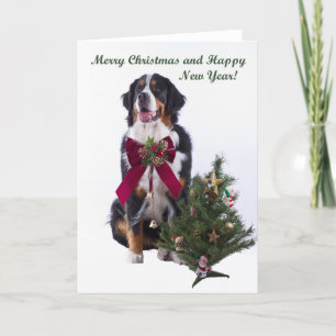 Felices Navidad