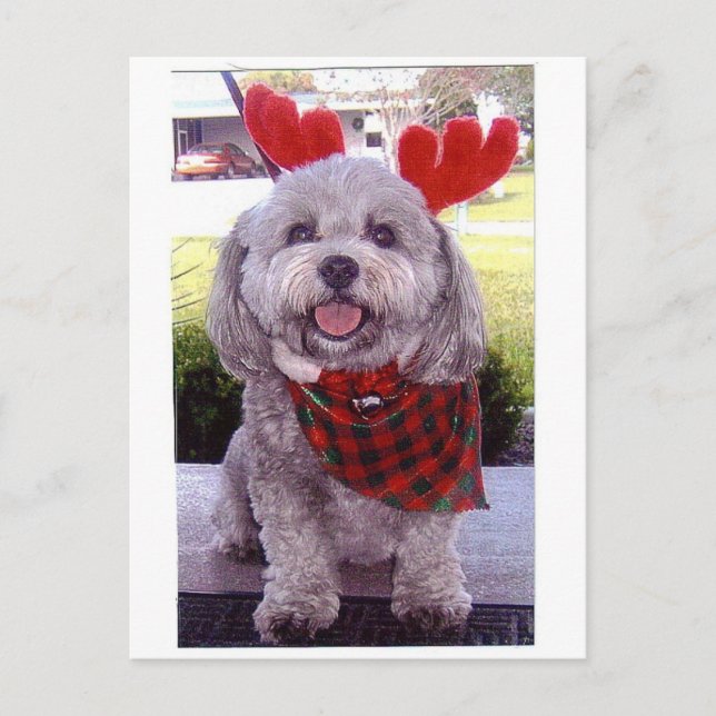 Felices Navidad (Anverso)