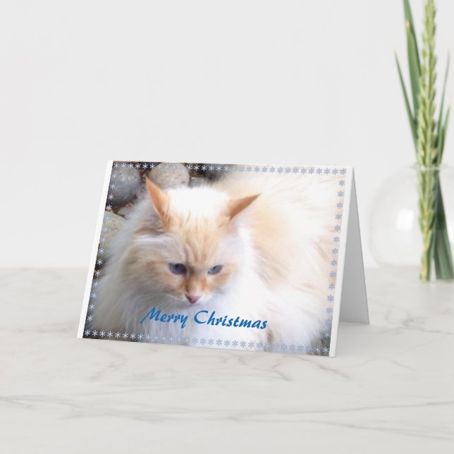 Felices Navidad (Anverso)