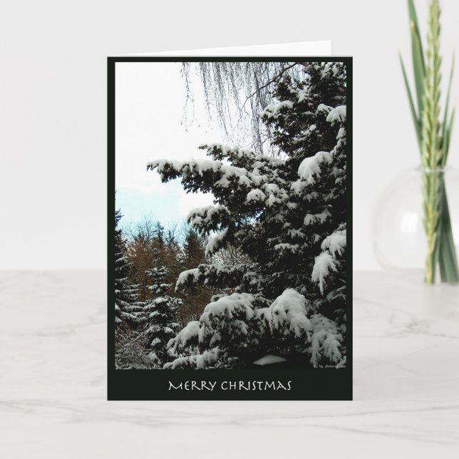 Felices Navidad (Anverso)