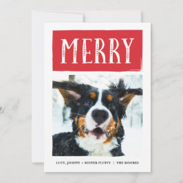 Felices Navidad acolchadas intrépidas