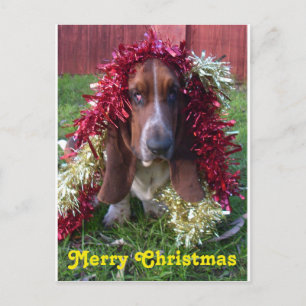 Felices Navidad Basset Hound de la postal en