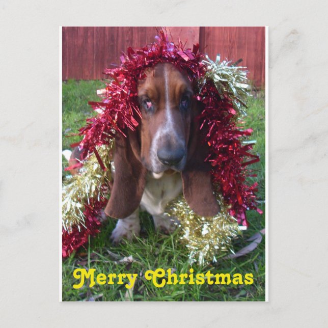 Felices Navidad Basset Hound de la postal en (Anverso)