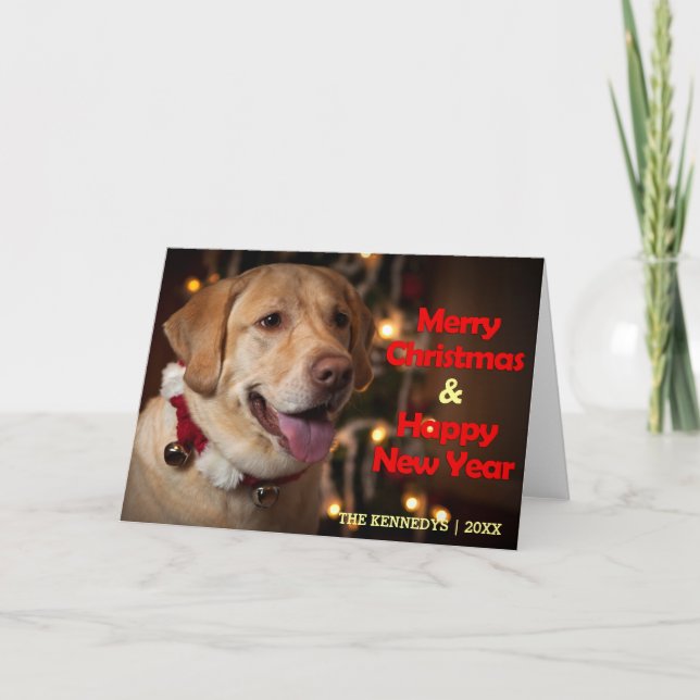 Felices Navidad - cuello de Bell del labrador (Anverso)