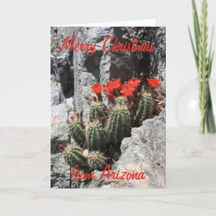 Felices Navidad de Arizona