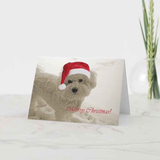 Felices Navidad de Bichon (Anverso)