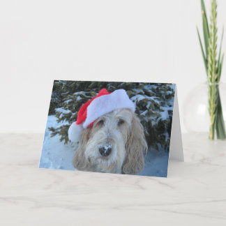 Felices Navidad de GBGV