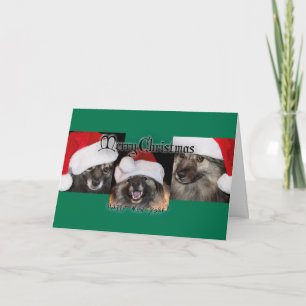 ¡Felices Navidad de Keesie!