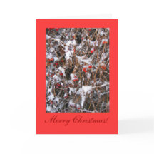 Felices Navidad de la baya