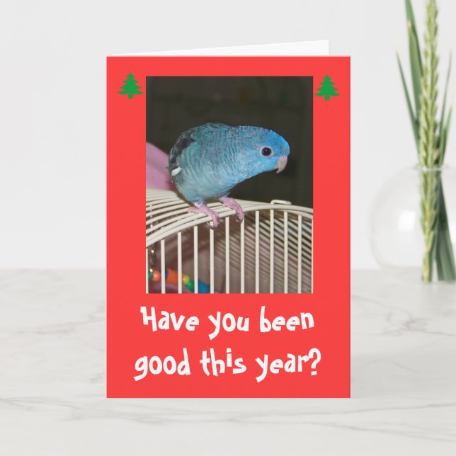 Felices Navidad de la tarjeta de Poopy de los días (Anverso)