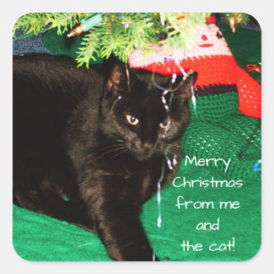 FELICES NAVIDAD de los pegatinas del CAT