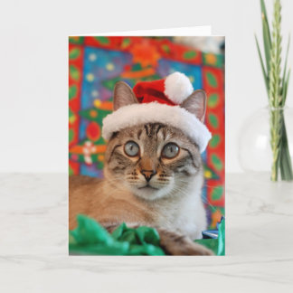 ¡Felices Navidad de Meowy del gatito Santa!
