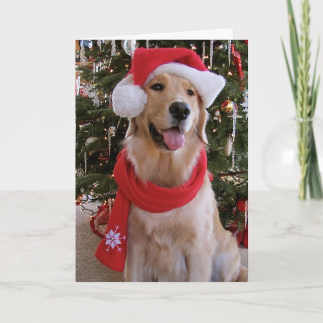 Felices Navidad de oro (Anverso)