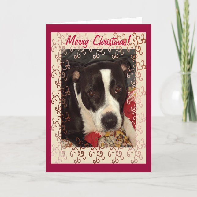 ¡Felices Navidad de Staffordshire Terrier! (Anverso)