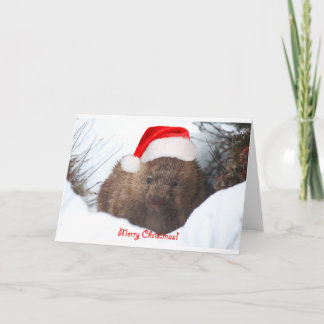 Felices Navidad de un wombat de abajo debajo