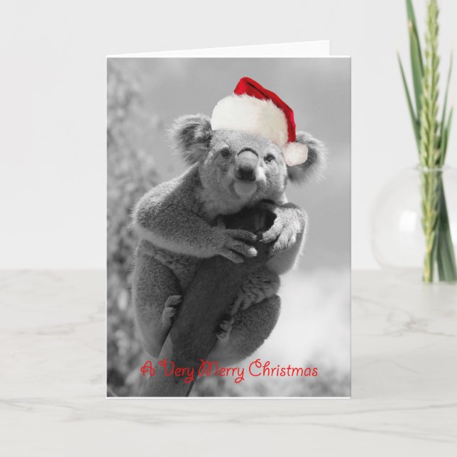 Felices Navidad de una koala (Anverso)
