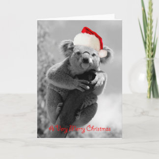 Felices Navidad de una koala