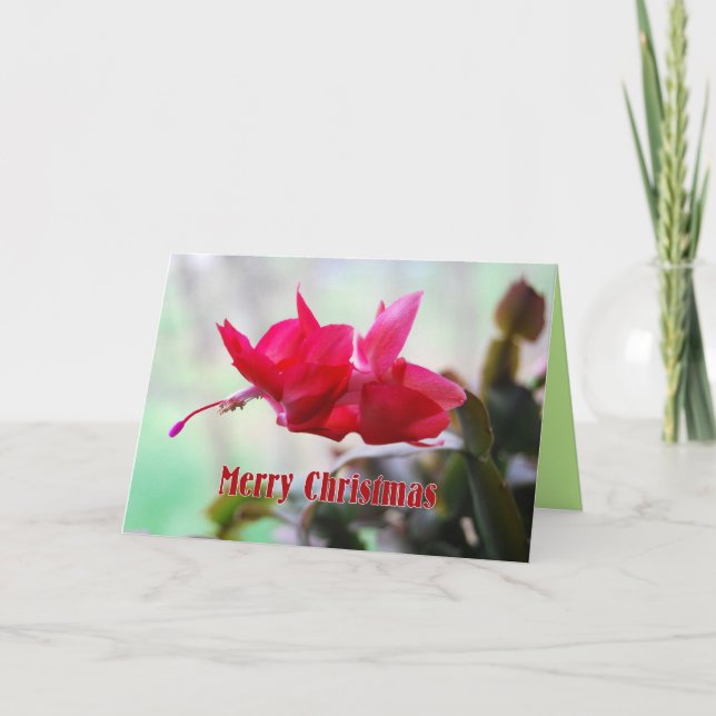 Felices Navidad del cactus de navidad (Anverso)