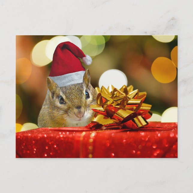 Felices Navidad del Chipmunk lindo (Anverso)