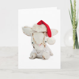 Felices Navidad del conejo