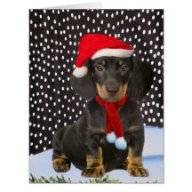Felices Navidad del Dachshund