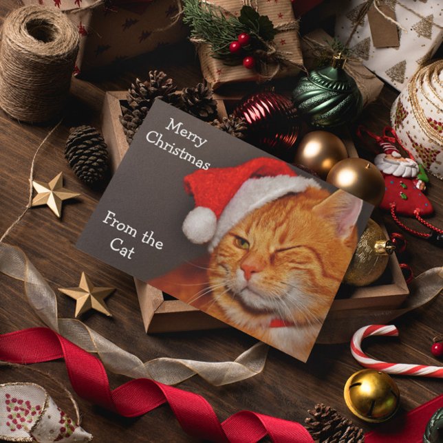 Felices Navidad del gato (Subido por el creador)