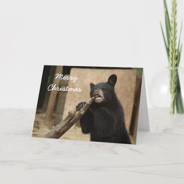 Felices Navidad - Lanikai (Anverso)