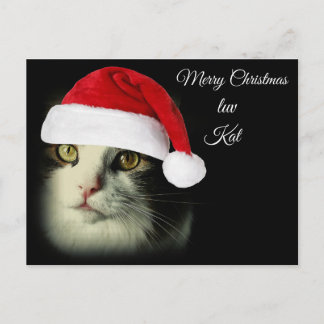 Felices Navidad Luv Kat
