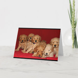 ¡Felices Navidad Perro-Idas!
