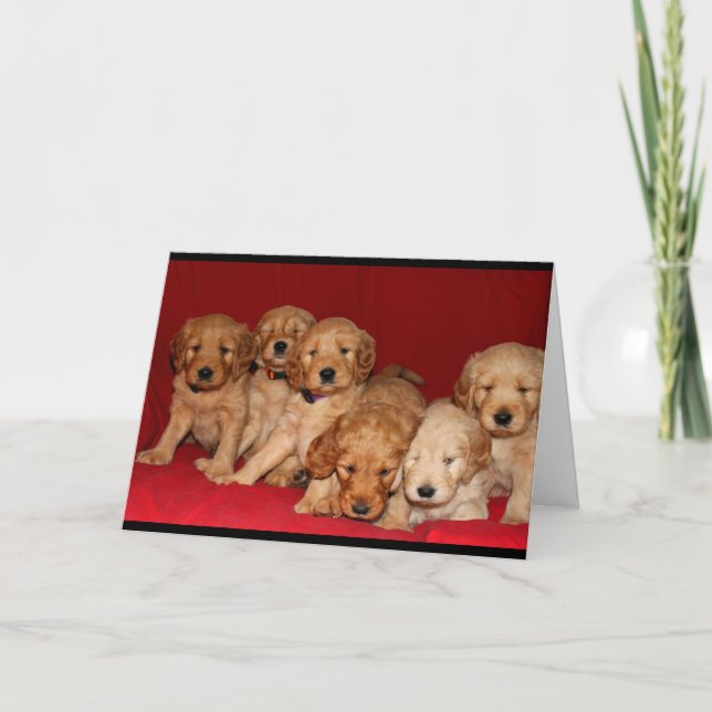 ¡Felices Navidad Perro-Idas! (Anverso)