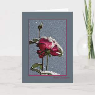 Felices Navidad - rosa rojo artsy con nieve