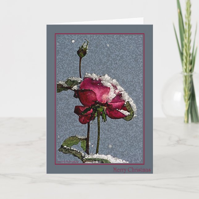 Felices Navidad - rosa rojo con nieve (Anverso)