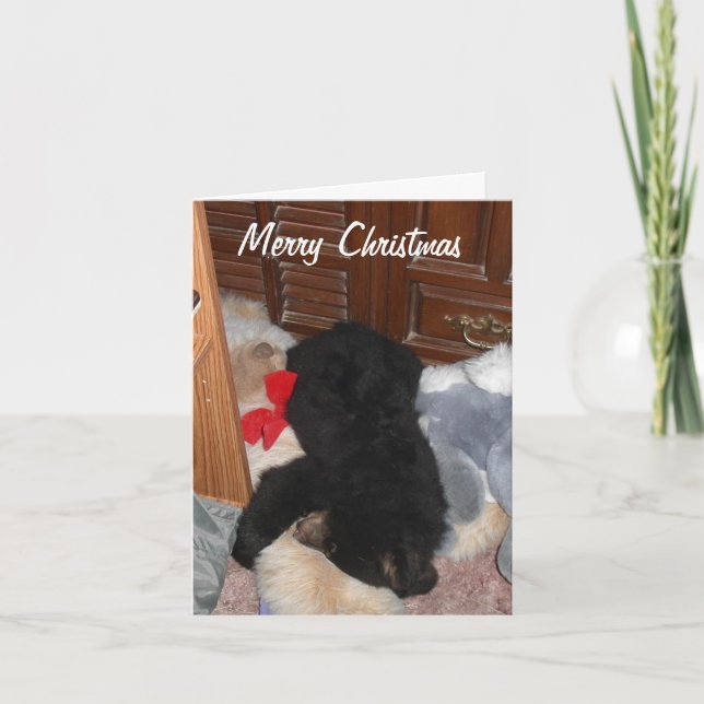 Felices Navidad - Shenandoah brillante (Anverso)