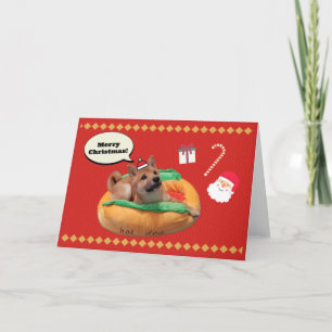 Felices Navidad Shiba