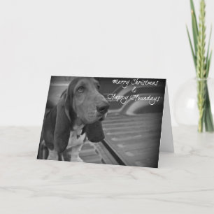 Felices Navidad y Houndays feliz - perro del