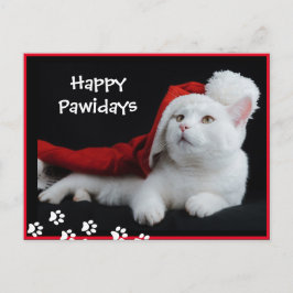 Felices Pawidays, Cat, Postal de arte