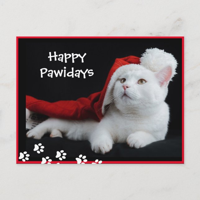 Felices Pawidays, Cat, Postal de arte (Anverso)