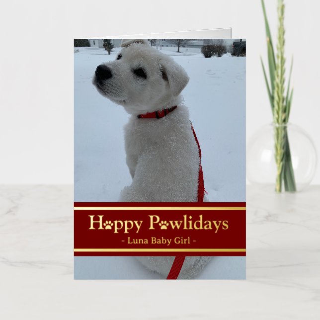 Felices Pawlidays (Anverso)