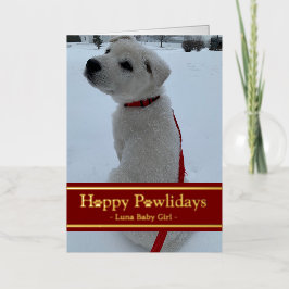 Felices Pawlidays