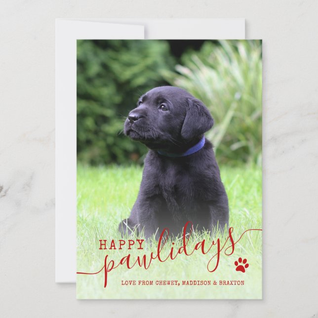 Felices Pawlidays Dog Photo Modern Mascota Navidad (Anverso)