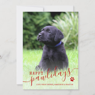 Felices Pawlidays Dog Photo Modern Mascota Navidad