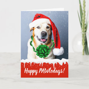 Felices pawlodays Navidad perro en la nieve