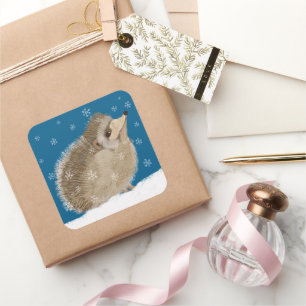 Felices Pegatinas Cuadrados de Hedgehog Rond