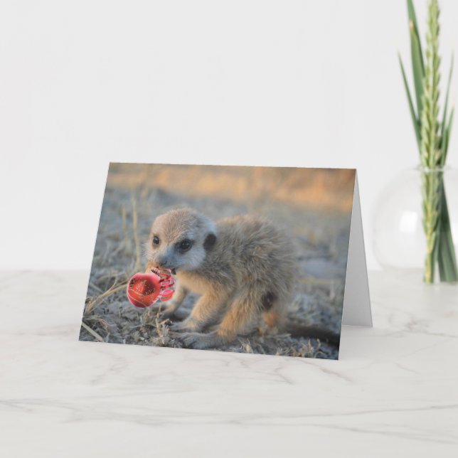 Felices pequeños Navidad de Meerkat - tarjeta de (Anverso)